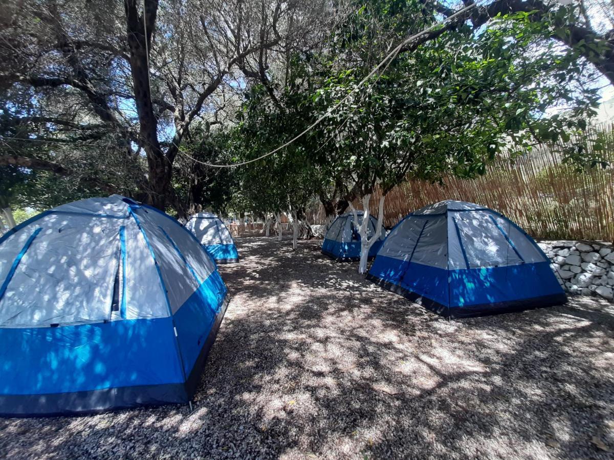 Social Camping Jal Otel Dış mekan fotoğraf